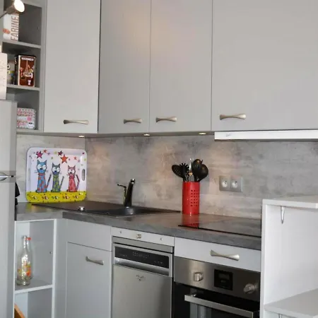 4 Pers. Proche Pistes Avec Parking Et Casier A - Fr-1-241-129 Apartment *