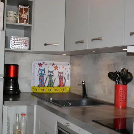 4 Pers. Proche Pistes Avec Parking Et Casier A - Fr-1-241-129 Apartment *